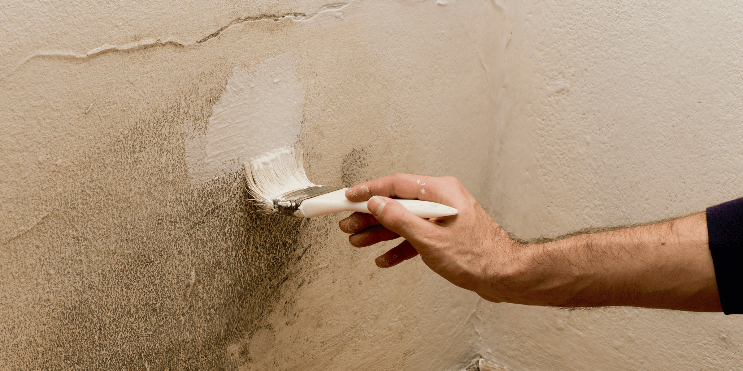 How to fix and paint a damp wall