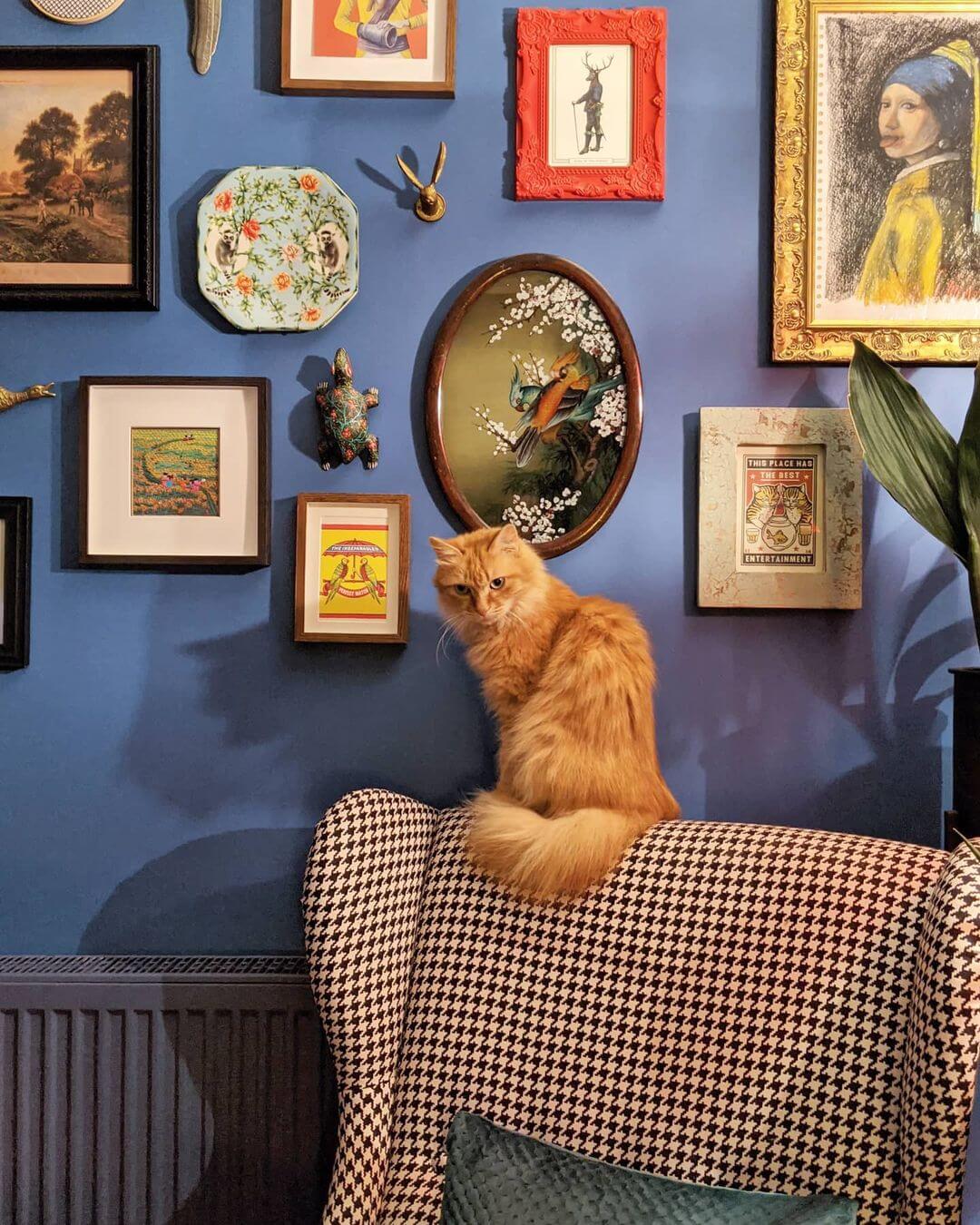 fallback alt text two