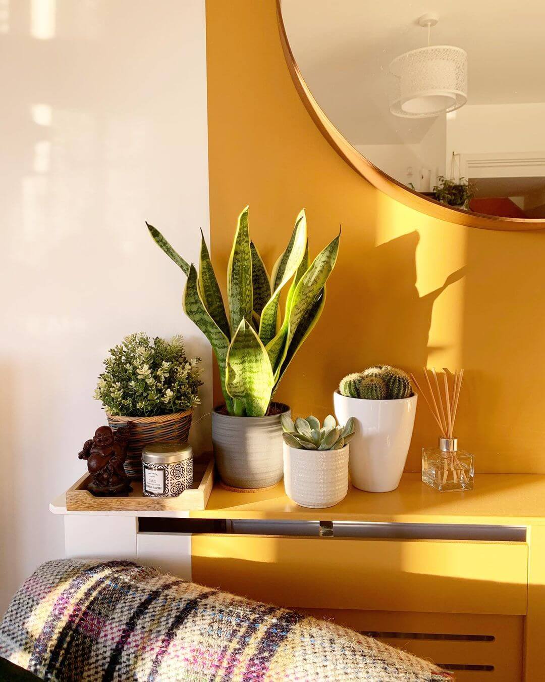 Yellow living room paint ideas