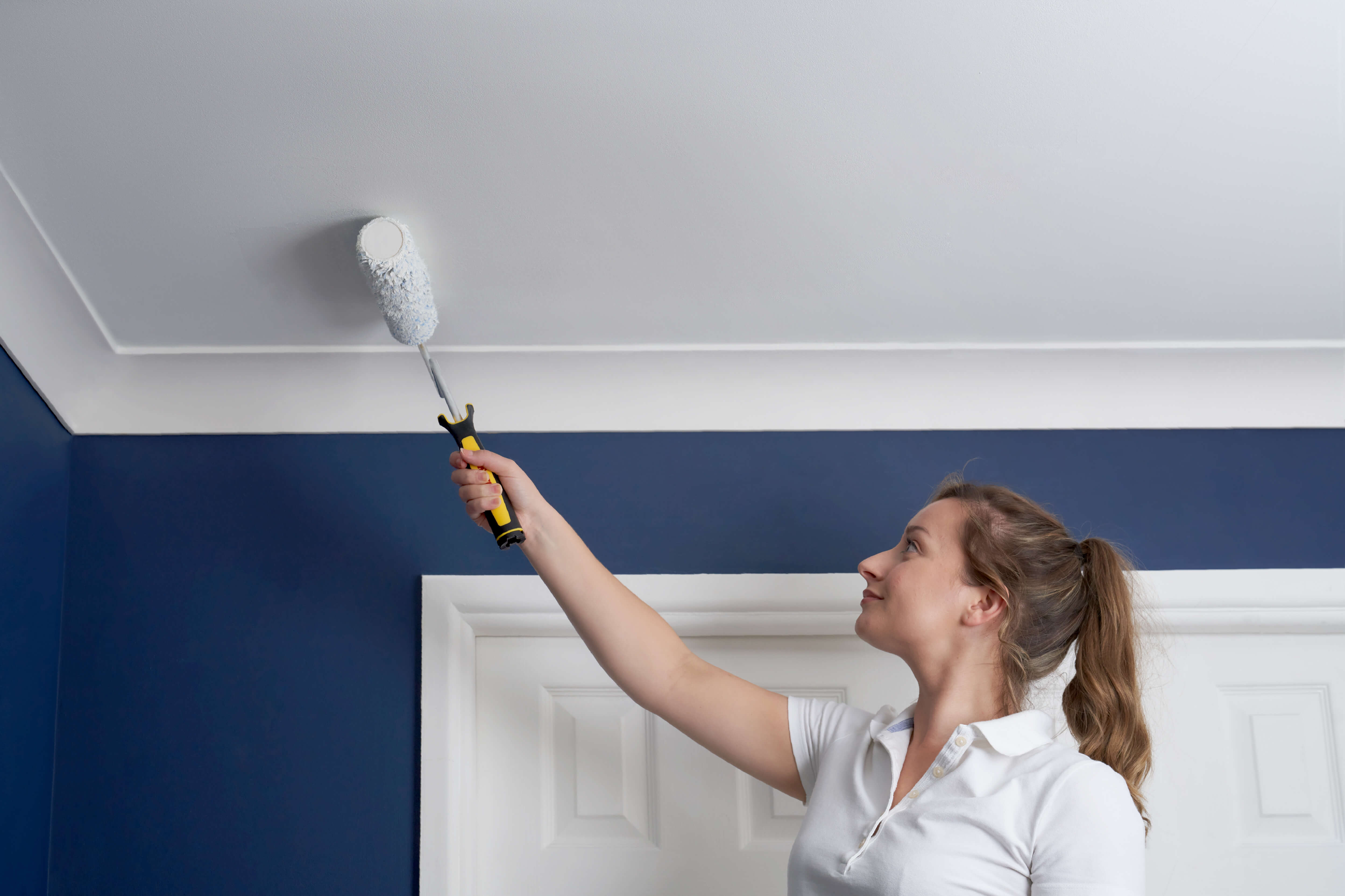 Ceiling paint valspar discount