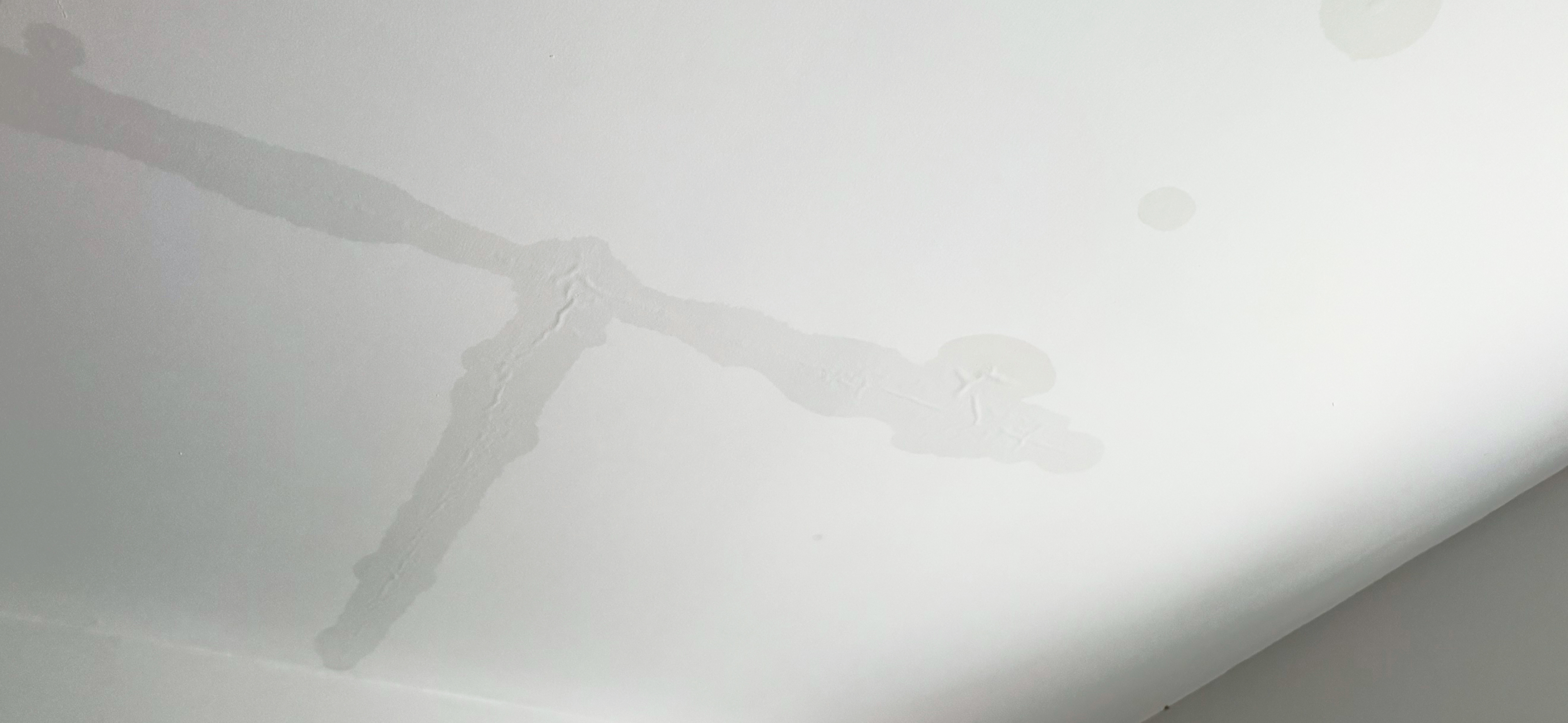 Water damage indoors? Tackle it with Thompson’s