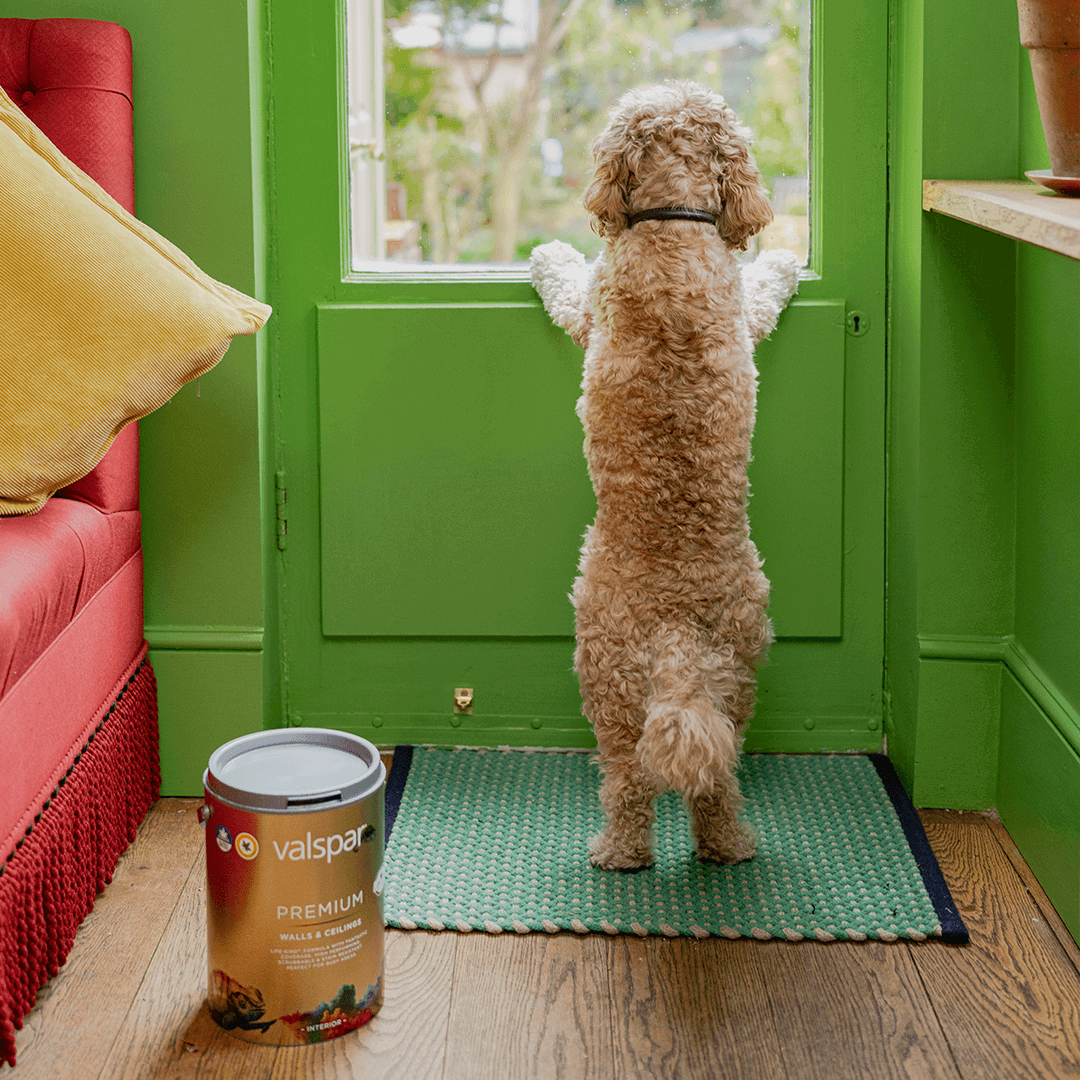 AS A NATION OF ANIMAL LOVERS, THE WELLBEING OF OUR FURRY AND FEATHERED FRIENDS COMES HIGH UP ON OUR PRIORITY LIST. THAT’S WHY OUR NEW LIFE-KIND FORMULA IS PERFECT FOR HOMES WITH PETS.