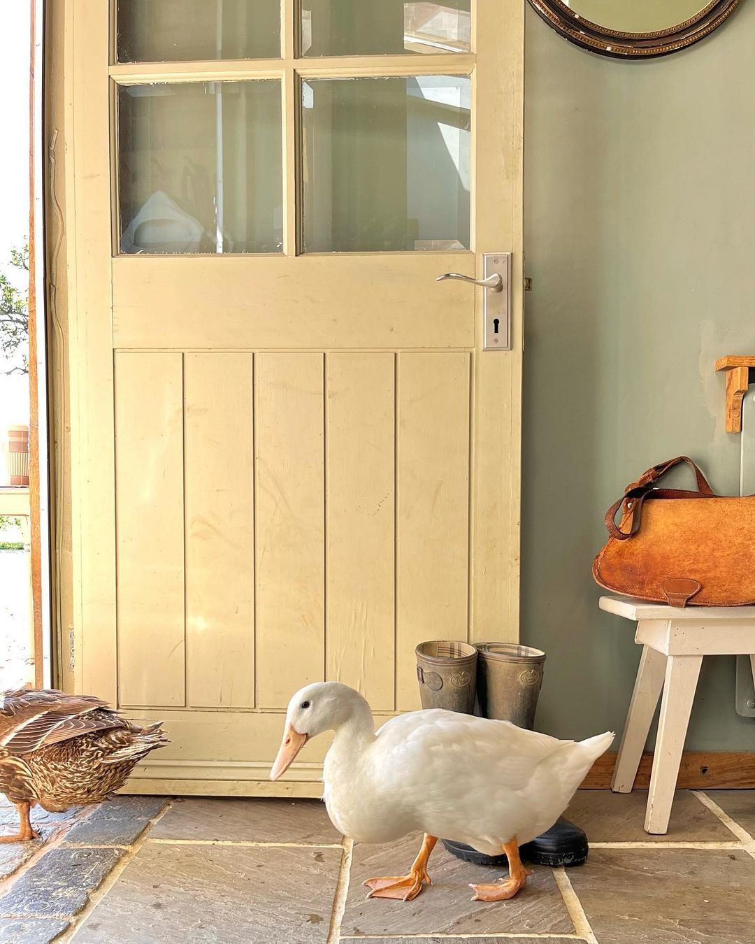 Coat your front door