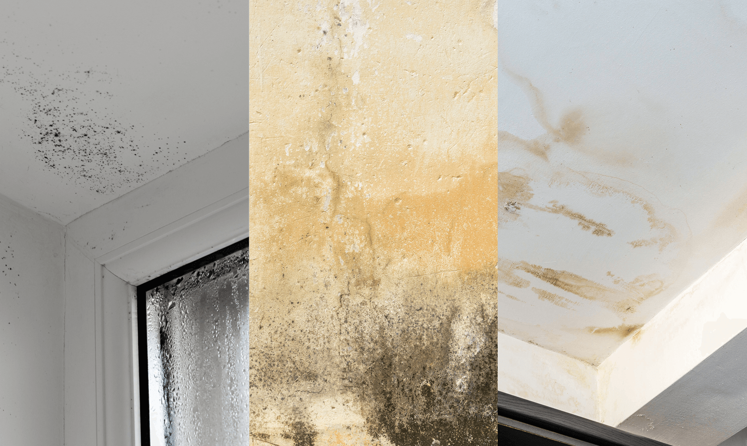 How To Fix And Paint A Damp Wall | Valspar Paint