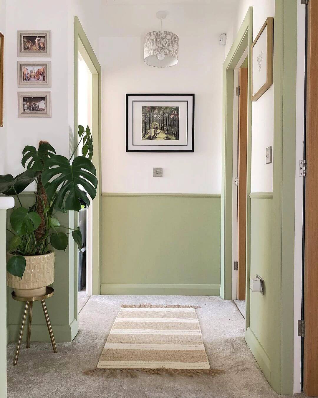 Green Hallway Ideas